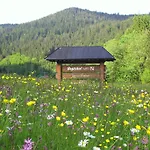 Vogtshof Apartamento *