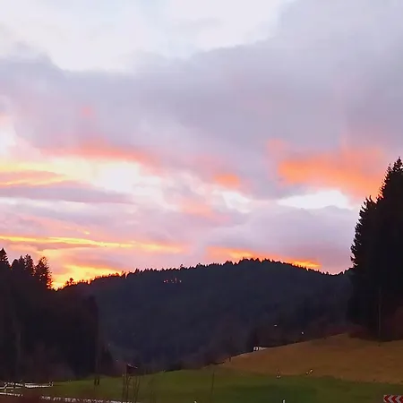 Vogtshof Apartman Bad Rippoldsau-Schapbach