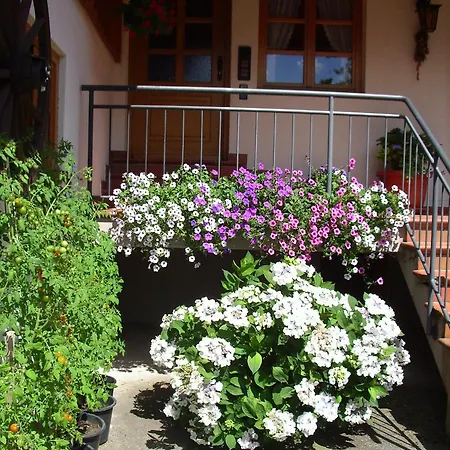 Apartament Vogtshof Bad Rippoldsau-Schapbach