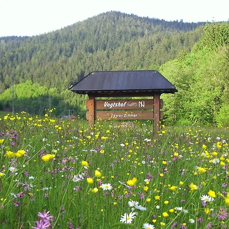 Vogtshof Apartament *