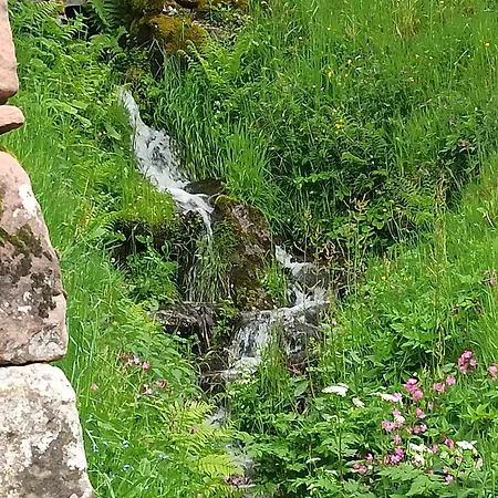 Apartman Vogtshof Bad Rippoldsau-Schapbach