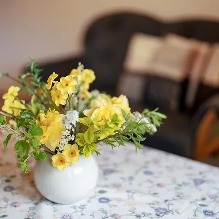 Vogtshof Bad Rippoldsau-Schapbach