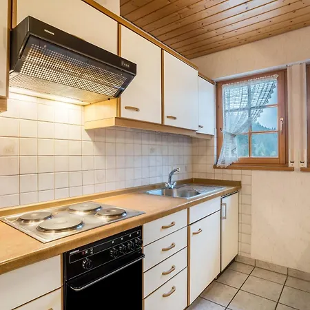 Apartment Vogtshof Bad Rippoldsau-Schapbach