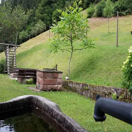 Apartamento Vogtshof Bad Rippoldsau-Schapbach
