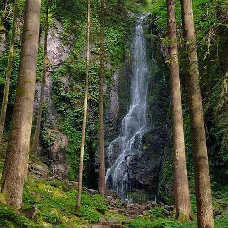 Vogtshof Bad Rippoldsau-Schapbach