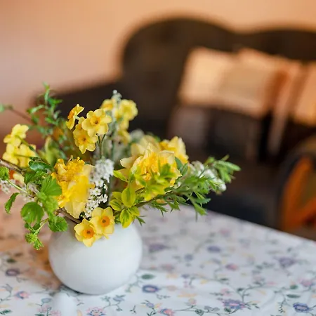 Apartman Vogtshof *