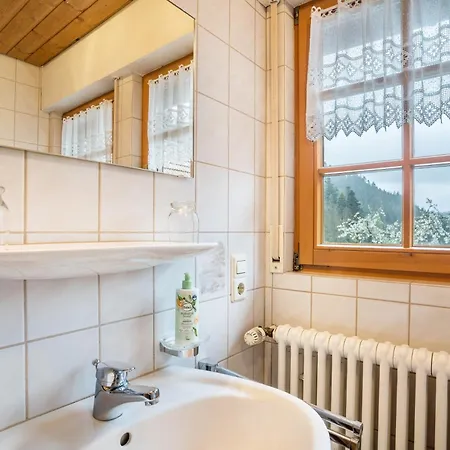 Vogtshof Bad Rippoldsau-Schapbach